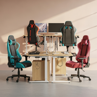 Gaming Chairs and Desks
