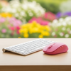 Keyboards and Mice