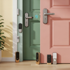 Smart Locks and Door Sensors