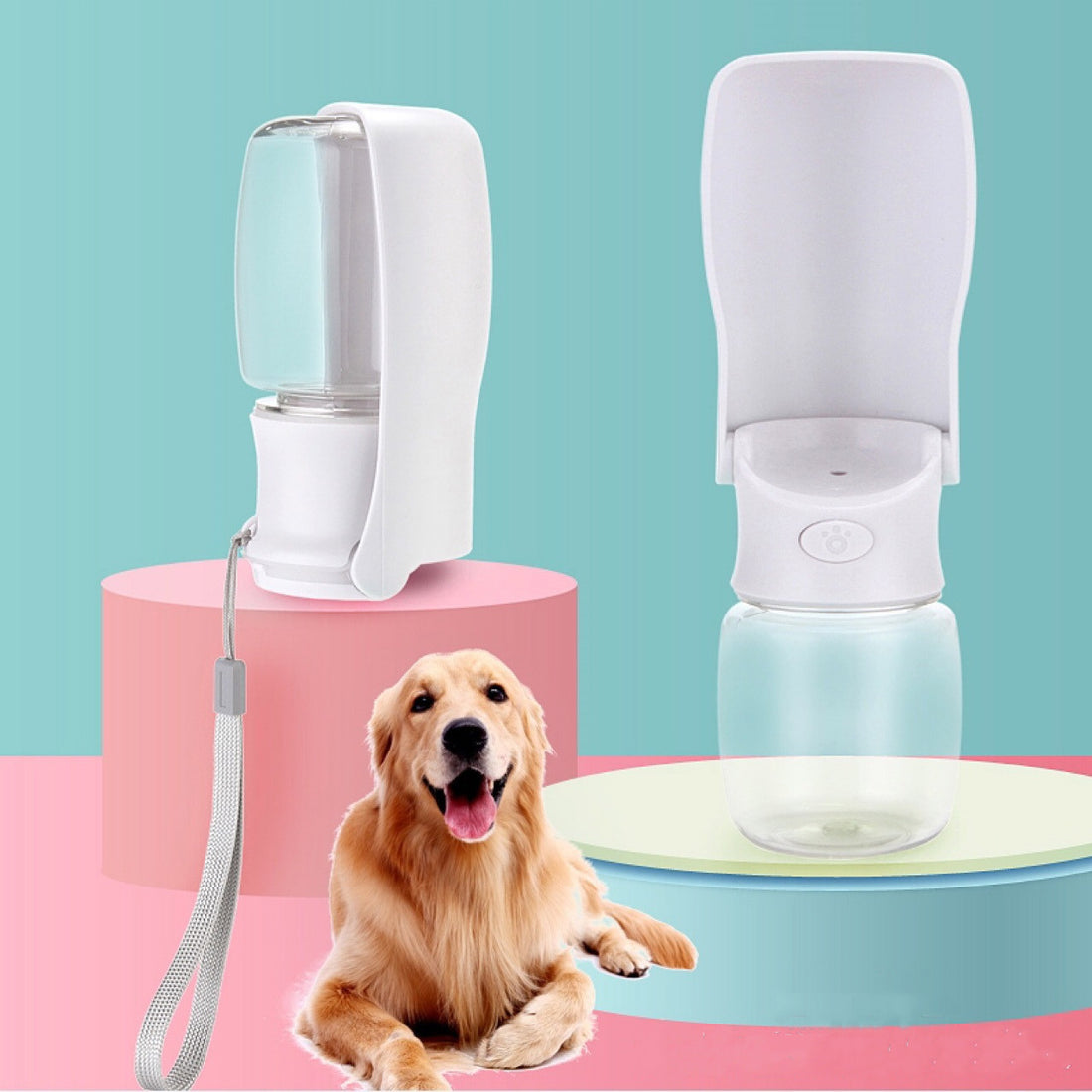 Portable pet water bottle with a dog
