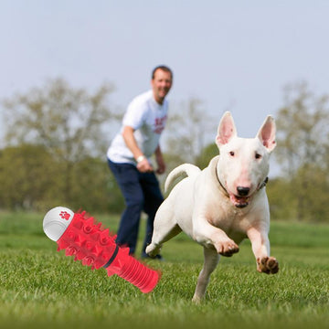 Interactive Rubber Chew Toy with Squeaker – Durable Dog Toy for Medium & Large Breeds