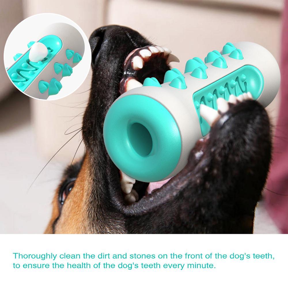 Medium-large breed ready TPR dog toy – gentle on gums, durable against chewing