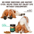 Natural Dog Allergy Chews With Omega Probiotics Apple Cider Vinegar Dog Allergy Relief Supplement Helps With Hot Spots Itchy Skin Seasonal And Food Dog Allergies 180 Allergy Chews For Dogs