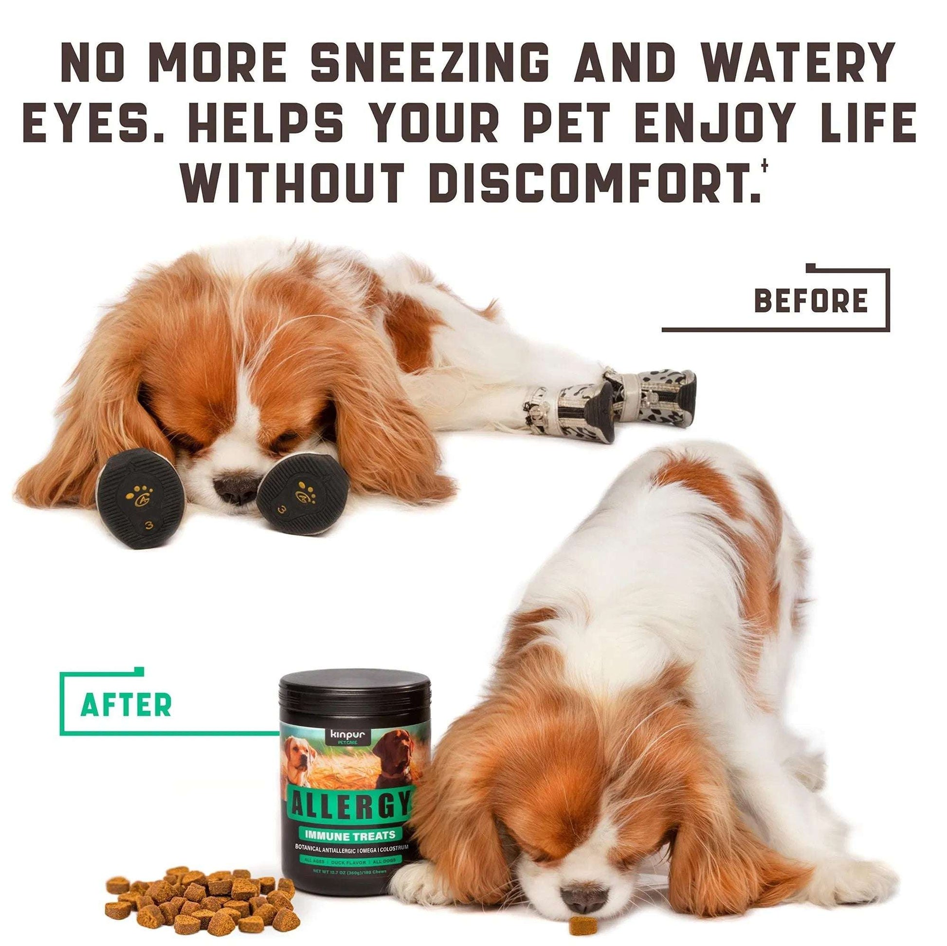 Natural Dog Allergy Chews With Omega Probiotics Apple Cider Vinegar Dog Allergy Relief Supplement Helps With Hot Spots Itchy Skin Seasonal And Food Dog Allergies 180 Allergy Chews For Dogs