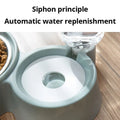 Stainless steel slow-feeder pet food and water bowl close-up