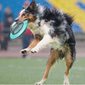 Dog Interactive Food Leaking Dispensing Treat Ball For Small Large Dogs Improve IQ Training Toy Puppy Slow Feed Dachshund Toy