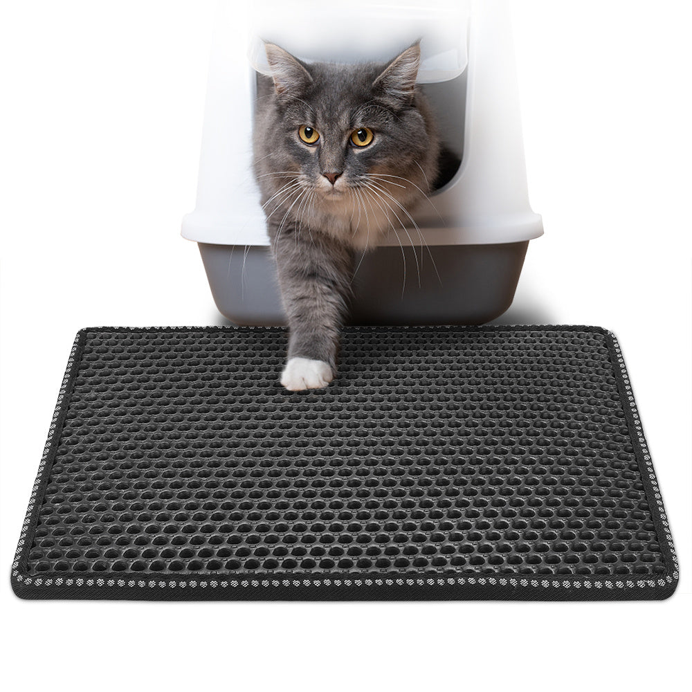 Cat standing on a black perforated mat with a litter box