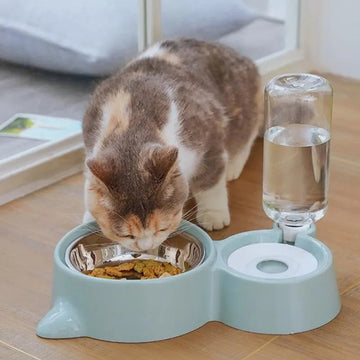 Blue automatic stainless steel pet feeder bowl with gravity water dispenser