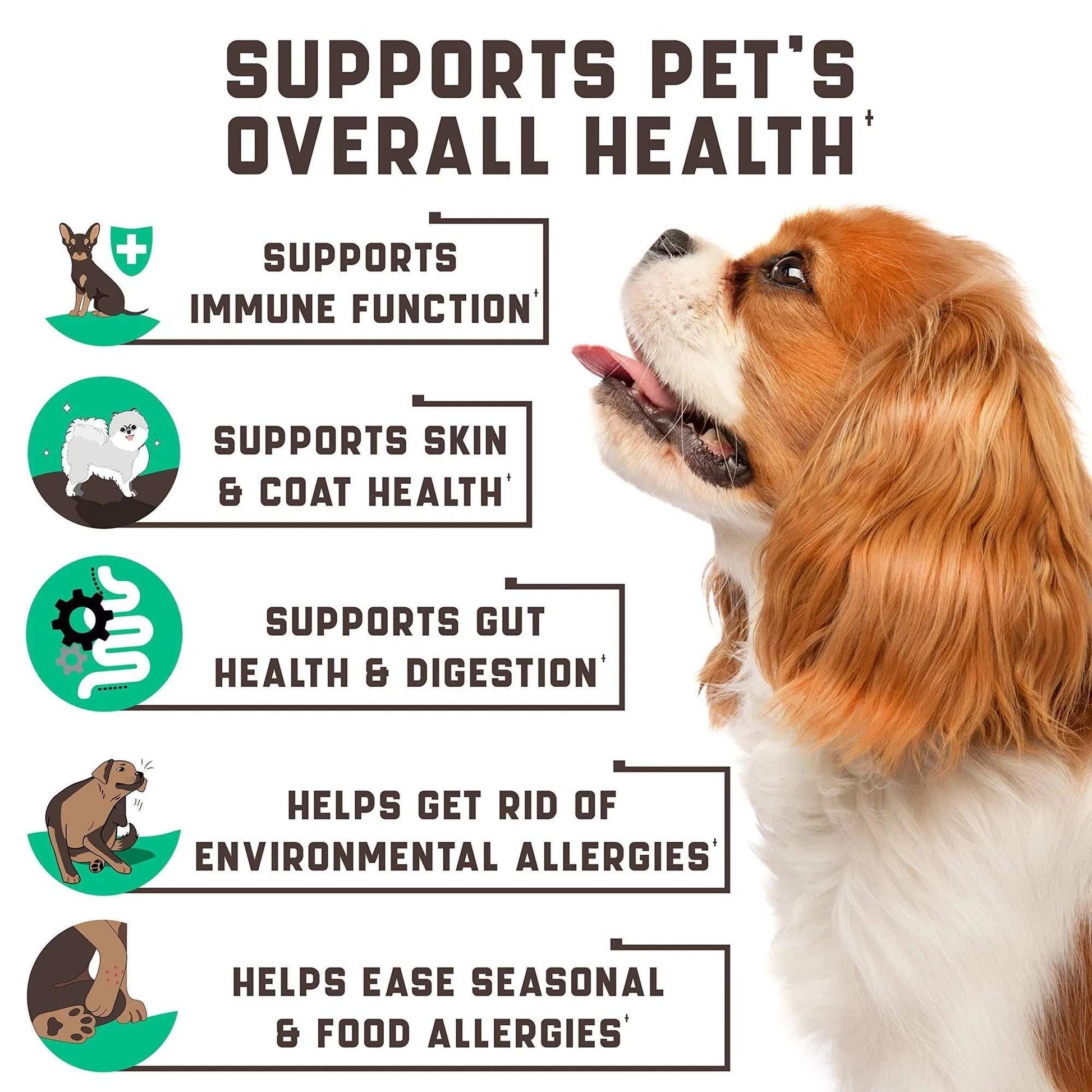 Natural Dog Allergy Chews With Omega Probiotics Apple Cider Vinegar Dog Allergy Relief Supplement Helps With Hot Spots Itchy Skin Seasonal And Food Dog Allergies 180 Allergy Chews For Dogs