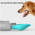 Dog drinking from a teal pet water bottle with text 'Can lay flat for water feeding' 