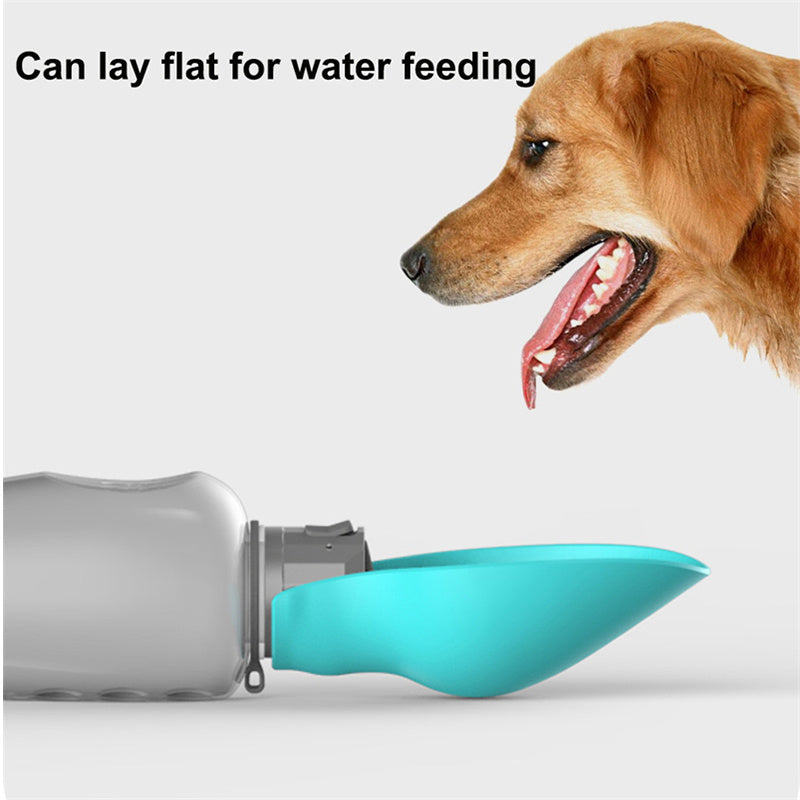 Dog drinking from a teal pet water bottle with text 'Can lay flat for water feeding' 