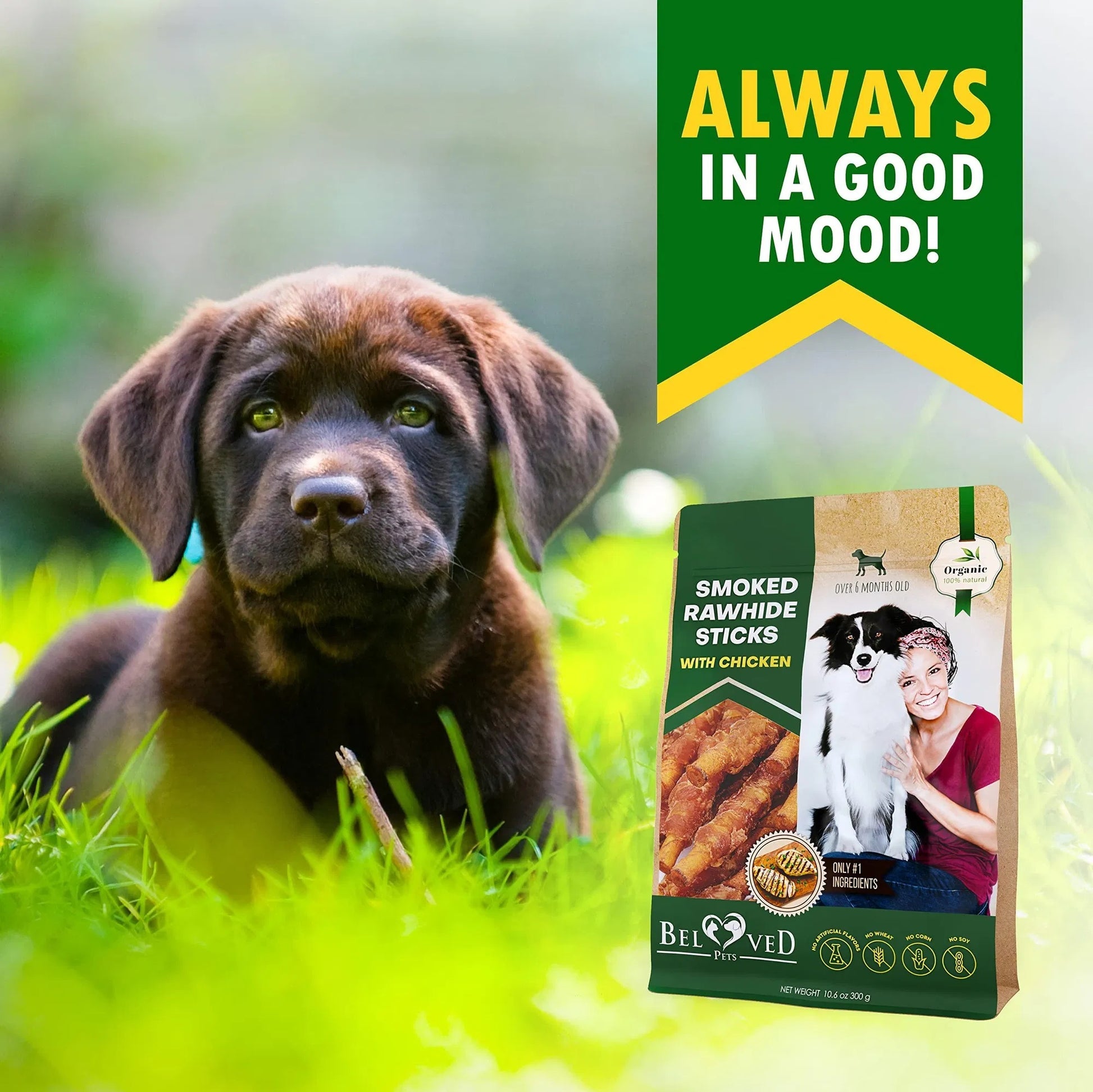 Dog sitting in grass with a package of dog treats labeled 'Always in a Good Mood'