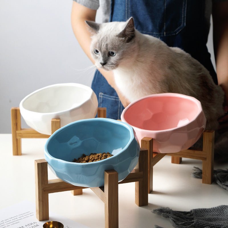 Tilted Ceramic Pet Bowl with Wooden Stand – Cats & Dogs - PrimeFlow